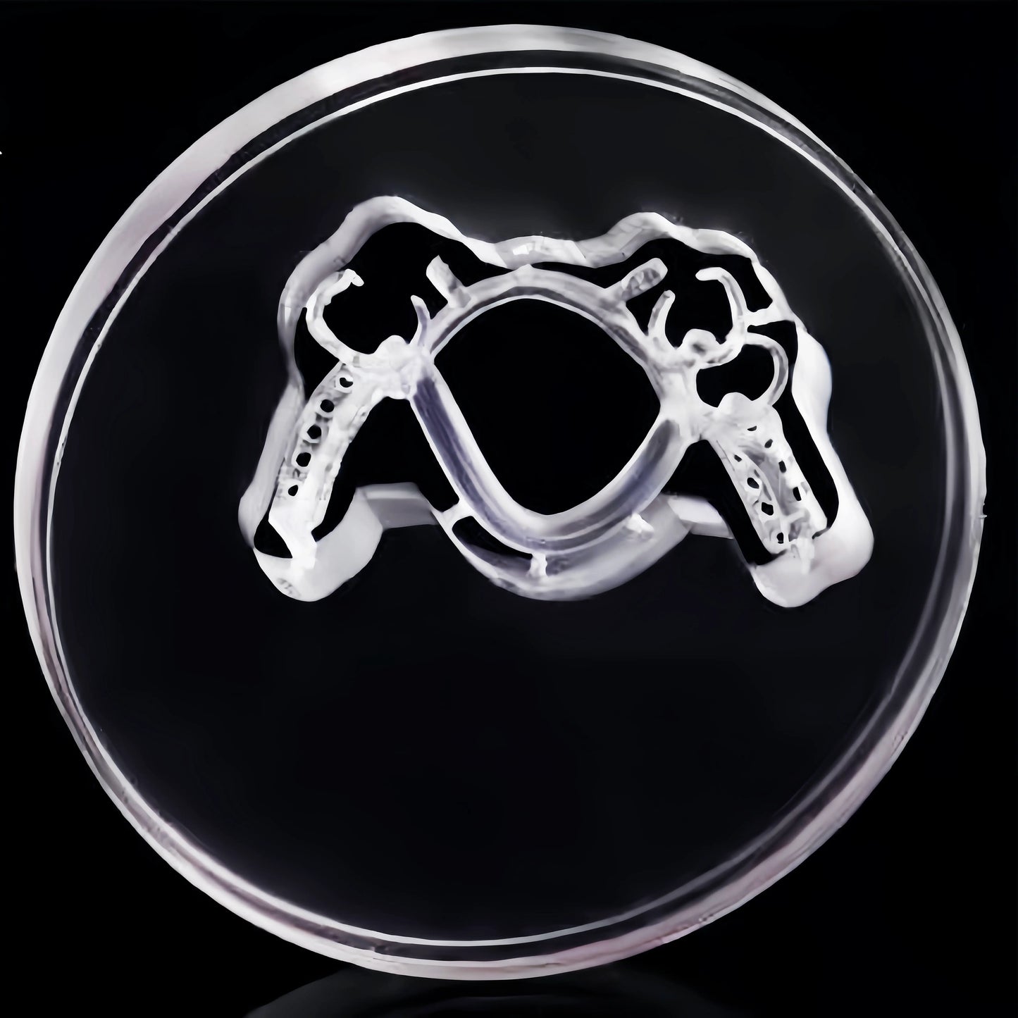 High-Quality Acetal Discs for Dental Laboratories - OnePro Dental - OnePro Dental