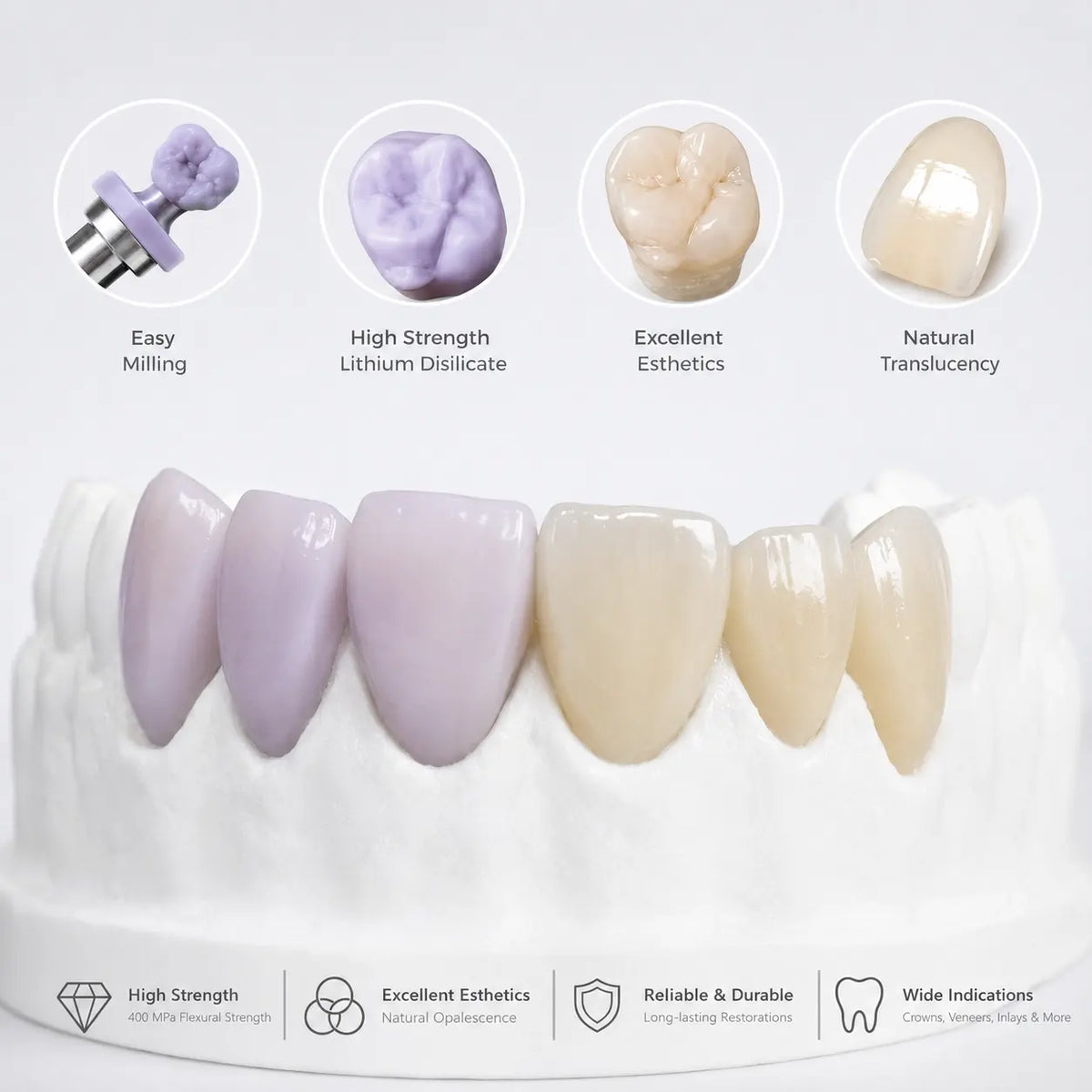 Lithium Disilicate dental restorations showing natural shade, translucency, and aesthetic results on a dental model