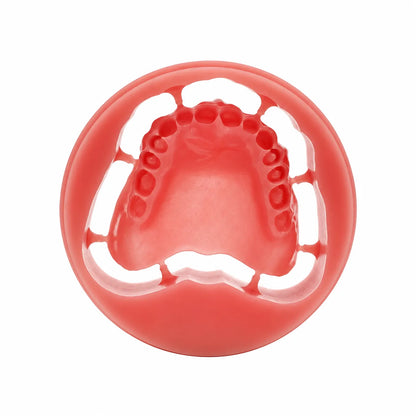 Milled Pink PMMA denture base framework before artificial tooth placement